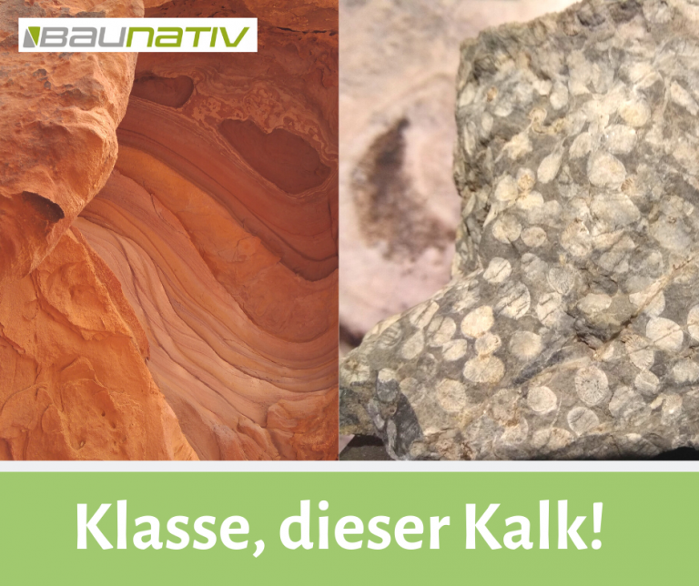 Was ist eigentlich Kalk? – Baunativ – Blog
